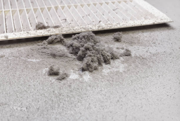 Best Duct Cleaning Specialists  in Coeburn, VA